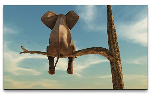 Paul Sinus Art Bilder XXL Elefant auf einem Baum 120x70cm Wandbild auf Leinwand