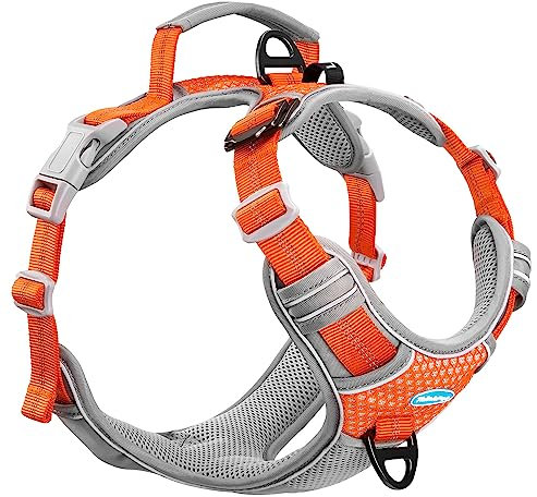 ThinkPet Anti-Zug Hundegeschirr Mit Griff - Leicht Zu Kontrollieren, Verstellbar Ohne Würgen, Reflektierend, Atmungsaktiv, Gepolstert (S, Leuchtend Orange)