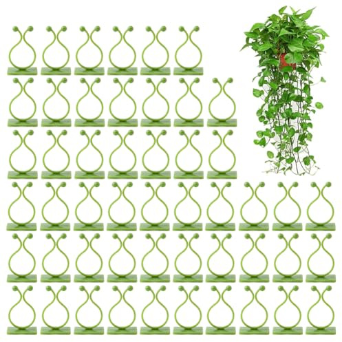 Pflanzenclips,50 Stücke Pflanzenklammern,Pflanzenhalter,Wandbefestigung für Pflanzen,Pflanzenclips für Kletterpflanzen,Pflanzenhalter Wand Selbstklebende,Sicherung Pflanzenhaken für Kletterpflanzen