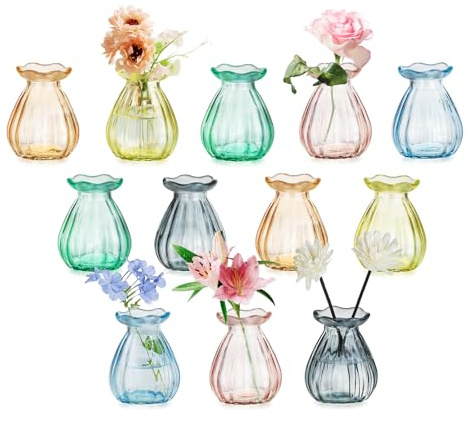 Glasseam Petit Vase pour Décoration de Table: 12 Jolis Vases en Verre pour Le Salon Salle à Manger Les Tables de Mariage et Les Fêtes - Vase Decoratif Colorés pour Fleur Bouquets et Plantes
