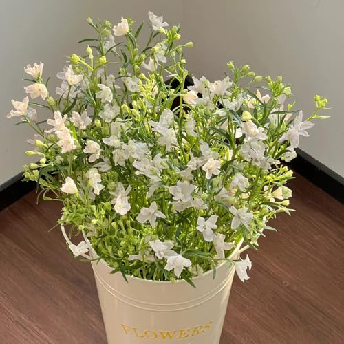 Semi di Delphinium - da giardino biologici Larkspur - semi di Le perenni sono resistenti 60pcs