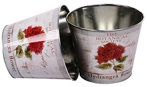 UNUS Topf Zink rund Hortensie 2er Set rot