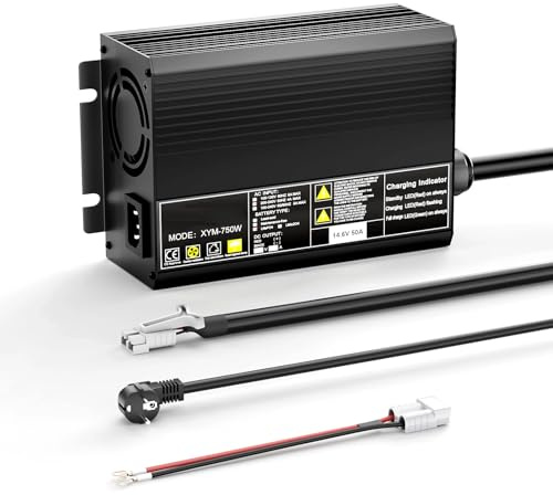 Caricabatterie lifepo4 da 14,6 V 50 A per batterie al litio a fosfato di ferro da 12,8 V Anderson, adattatore LED, appositamente progettato per batterie al litio Deep Cycle di Boot