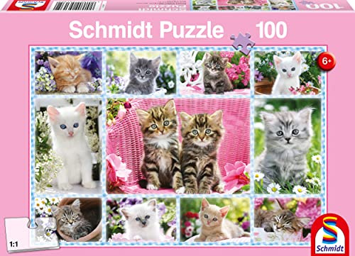 Schmidt Spiele 56135 Katzenbabys, 100 Teile Kinderpuzzle, SCH56135, Bunt