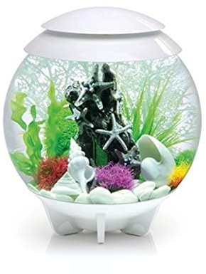 biOrb 72040 HALO 30 LED weiß - dekoratives Aquarium-Komplett-Set mit Filter-System, LED-Beleuchtung und Keramik-Kies aus robustem Acryl-Glas