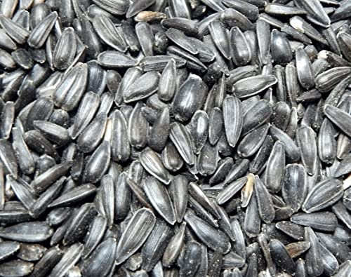 Sonnenblumenkerne schwarz 25 kg Sack von SAHAWA schneller Versand Ganzjahresfutter Vogelfutter