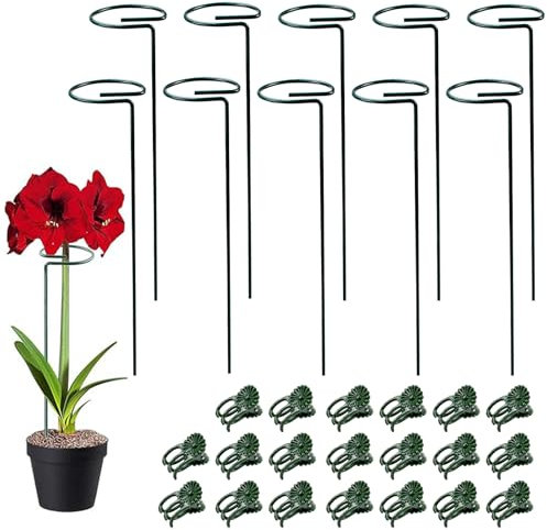 NAROSEBE 10 PCS Tuteur Plante Orchidée 30CM, Tuteur Plante Intérieur Plastique, Bâtons Support de Plantes, Tuteur Plante en Pot avec 20 Pinces de Support, pour Fixation Orchidée Légumes Jardin