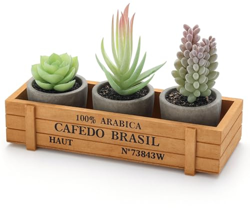 DomeStar 3PCS Succulents Plants Artificial, Small Fake Plants with Wooden Box for Aesthetic Living Room Shelf Bathroom Coffee Bar Decor Office Desk Farmhouse Coffee Table Accessories