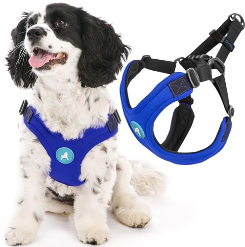 Gooby Escape Free Sport Dog Harness, Choke-Free, Blue, Large