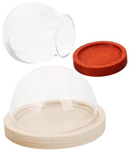 FUNOMOCYA 2stücke Glasdome Kleine Displaybox Holzsockel Transparent Ausstellungsdomes