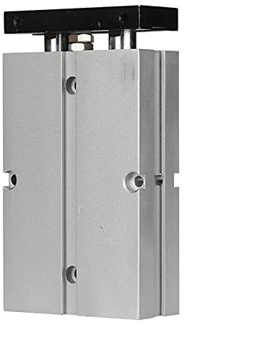 Luftzylinder, Pneumatische Komponenten Doppelzylinder TN, TDA. Doppelwellenzylinder TN20. Bohrung 20. für prototypische automatisierte Prozesse (Size : TN20*10)