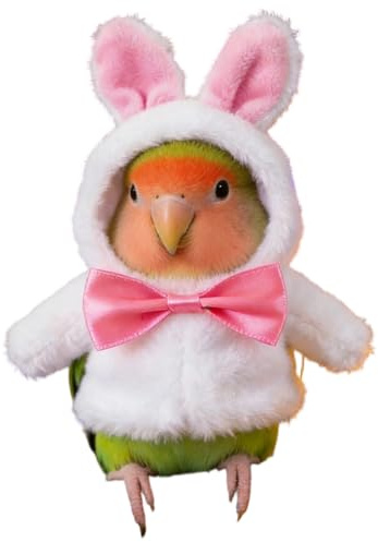 Bird Hoodie Clothes, Bunny Design Cloak, Easter Bird Hoodie Outfit with Feature, Outdoor Winter Protection Function, for Cockatiel Budgies African Usage (S)