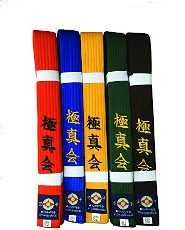 Kyokushin Karate Gürtel (grün, 280)