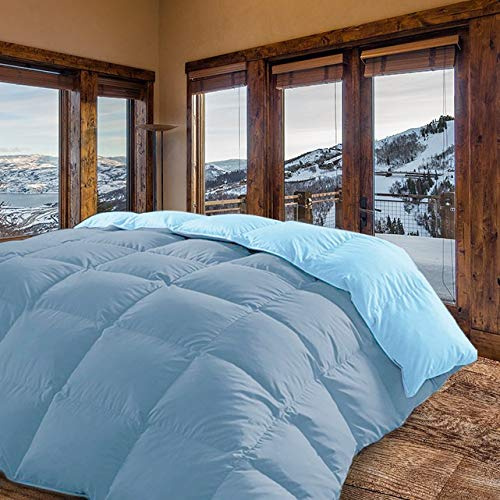 - Moscow - Edredón / Relleno Nórdico Reversible Máxima Calidad Transpirable 350 gr/m2 Microfibra Alta Densidad Invierno/Otoño (Celeste - Azul, Cama 135 y 150 (240 x 260 cm))