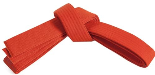 Mastery Leadership (orange belt, 1)