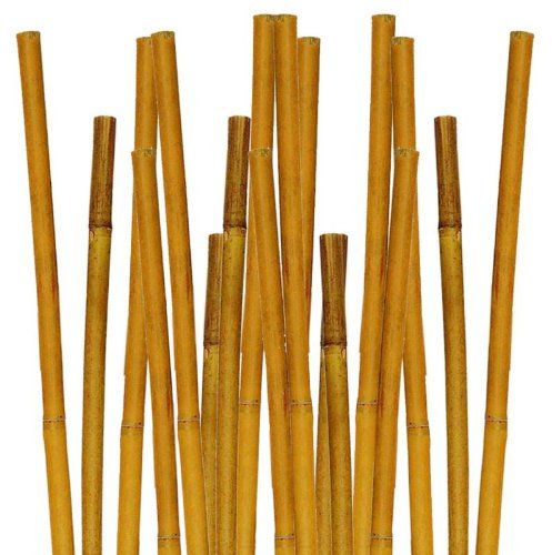 CANNA CANNETO PER PIANTE IN BAMBU H 240 CM PER GIARDINAGGIO AGRICOLTURA 50 PZ