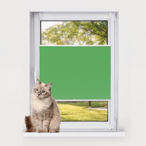 Plissee Grün lichtdurchlässig Jalousie einfach zu installieren 35x70cm Crushed Optik ideal für Wintergarten Bad Küche komplett mit Montageteilen