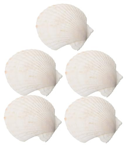 Generisch 5St Muschel-Aufbewahrung platte Tablett Größer Schubladenteiler Ringständer Muschelvitrine Desktop-Schmuckablage Muschel-Schmuckschale Ringgericht Ablagefach Ringplatte Hülse Weiß