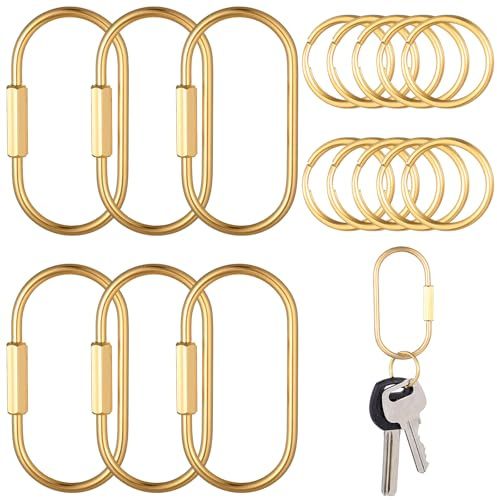 Lot de 16 porte-clés en laiton doré pour homme et femme avec verrouillage à vis sécurisé, joli mousqueton pour laisse de chien, étiquettes d'animaux domestiques