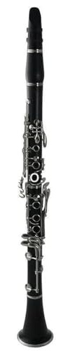 Anfänger klarinette Professionelle Klarinette Bb Tune Vernickelter Schlüssel Ebenholz Oder Bakelit Holz Musikinstrument Mit Koffer(Ebony Wood)