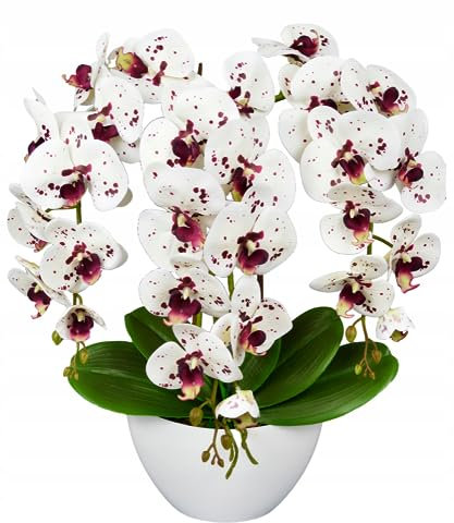 Hochwertige Silikon-Orchidee in Boot-Design - Langlebig und pflegeleicht