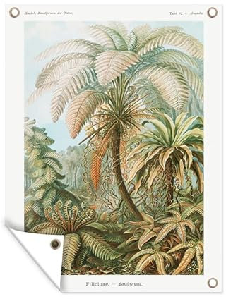 MuchoWow Outdoor-Poster Poster Wanddeko draußen Deko Garten Gartenposter 90x120 cm Vintage - Alte Meister - Farne - Pflanzen - Natur