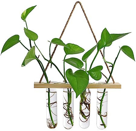 Pflanzenvermehrungsstation, Wandhängende Glaspflanzgefäße, Vermehrungsstation für Hydrokulturpflanzen, Terrarium, Hängepflanzen-Terrarium, Mini-Vase, Blumentöpfe für Hydrokulturpflanzen,(Khaki)