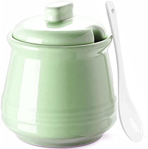 Azucarero de cerámica con tapa y cuchara, tarro de azúcar de granja de 12 onzas, recipiente de azúcar de porcelana para cafetería, encimera de cocina, soporte de azúcar turquesa para crema de sal