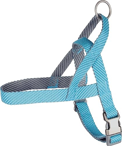 Norweger-Geschirr Elly BLAU M 52-65CM 25MM