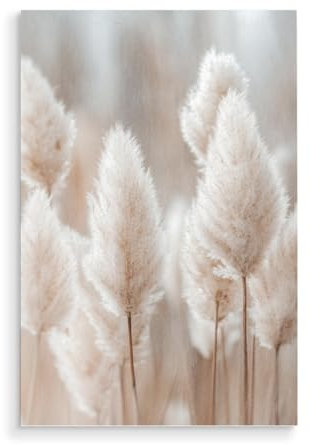 artboxONE Holzbild 30x20 cm Natur Botanisches Pampasgras von Künstler Carina