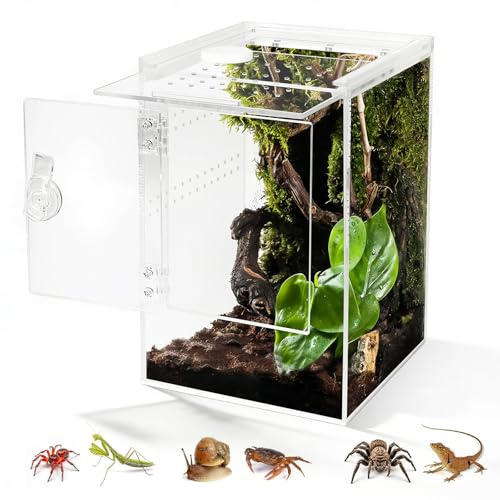Biigdan Terrario, 360° Terrarium Acrilico 20 x 20 x 30 cm- Teca per Rettili Trasparente, Terrario Rettili per ragni, lumache, mantidi, lucertole, raganelle, paguri, coleotteri