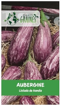 50 graines d'aubergine listada de gandia, variété ancienne striée violet et blanc savoureuse
