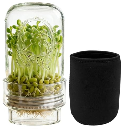 Set di germinazione in modo sano, per la germinazione delle verdure, per la germinazione dei semi, per gli appassionati di giardino, principianti, self-catering, vegetariani, piano di lavoro