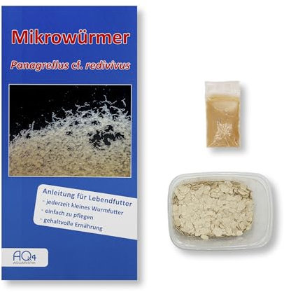AQ4Aquaristik Lebendfutter - Mikrowürmer (Zuchtansatz auf Substrat im Becher mit Anleitung) - Lebendfutter für Fische im Aquarium - Mikroälchen