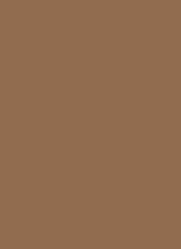 Generisch 10 Moosgummi-Platten 20x30 cm - Farben nach Wahl (braun)