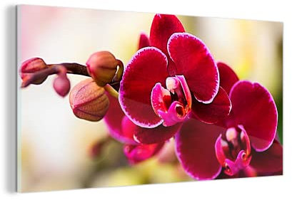 MuchoWow Glasbild Glasfoto Wandbild Bilder Deko 160x80 cm Nahaufnahme von roten Orchideen vor einem unscharfen Hintergrund