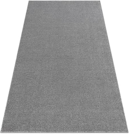 rugsx Eton Plus Tapis - Unicolore & Simple en Gris Clair - Doux & Moderne pour Salon & Chambre à Coucher - 200x300 cm