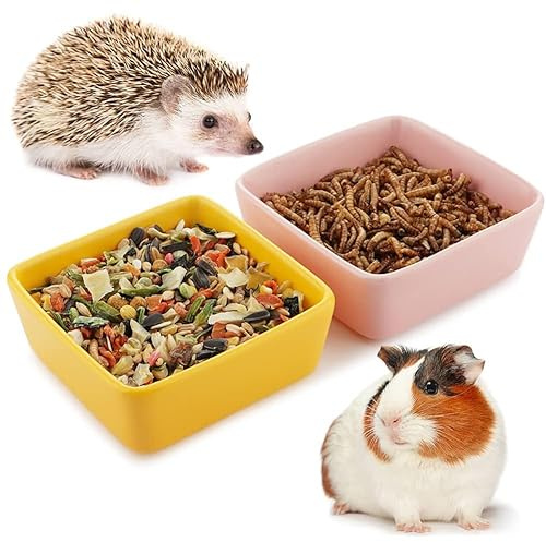 Set di 2 ciotole per porcellini d'India, riccio, scoiattolo, piccoli animali, in ceramica
