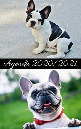 Agenda Rentrée Septembre 2020 / BOULEDOGUE: Répertoire, Suivi des notes, 2 Emplois de temps, Vacances Scolaires par zone