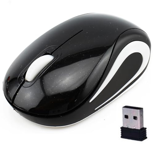 Mini Souris Sans Fil Portable pour Voyages D'affaires Petites Souris Silencieuses,Conception Ergonomique,2.4G 1000DPI pour Enfants Petites Mains pour Windows/iOS/Android Ordinateur Portable/PC (Noir)