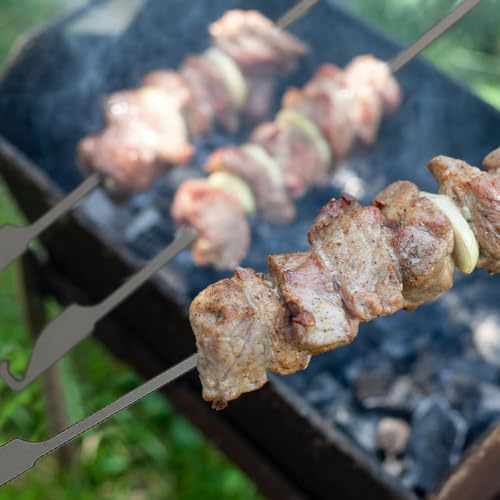 Alomejor Grillspieße, Beste, Genießen Sie die Grillzeit für Obst, Gemüse, Fleisch, 10 Stück, für Ein Picknick Im Freien (25CM)