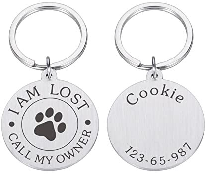 Personalisierte Anti-verlorene Hunde ID-Tags Kundenspezifische Produkte Hundehalsband Typenschild Gravieren Hundepfotenabdruck Hundehalsband Zubehör,silver-dog,22.41x20mm