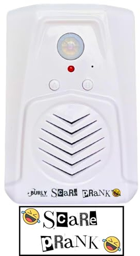 Burly Effects Scare Prank - Motion Activated Sound Player with Loud Speaker - Choose Over 30 Different Noises and add Your own Custom Sounds with USB Connection