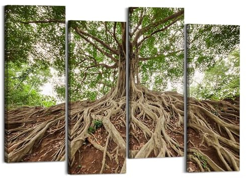 Canvas Wall Art Prints Pictures root banyan tree large tree pictures royalty photos Framed Posters Modern Wall Painting Artwork Gift Home Decor for Living Room Ready to Hang 4 Panel