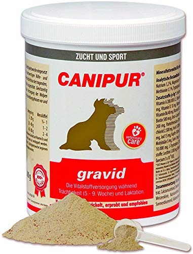 Canipur