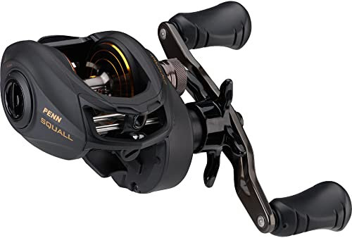 PENN Squall low Profile Baitcast-Angelrolle