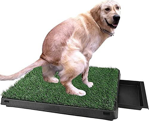 Hundeklo Hundetoiletten, Hundetoilette mit Kunstrasen Welpentoilette Trainingsunterlage Hunde Toilette mit Gras Indoor Hundetöpfchen Töpfchenauflage für Kleine Mittelgroß Hunde