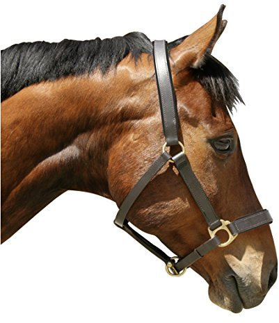 Kerbl Halfter Eco Warmblut, Leder Braun, 32267