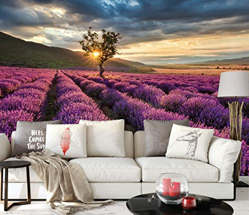 awallo Fototapete – Motiv «Lavendelfeld» in Blau, Gelb, Lila | 336x260cm | XXL Bild-Tapete Wand-Bild Digitaldruck | hochwertige Vliestapete – Made in Germany | einfache Verarbeitung