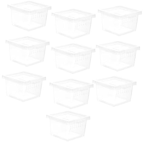 Insekten Futterbox aus Kunststoff, Transparent, 10 Stück-Pack